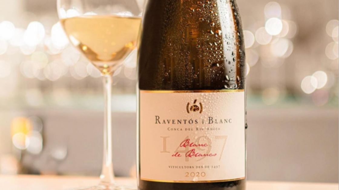 Raventós i Blanc de Blancs 2020, este vino se sitúa en el puesto 29 de la lista. Raventós i Blanc de Blancs 2020, este vino se sitúa en el puesto 29 de la lista.
